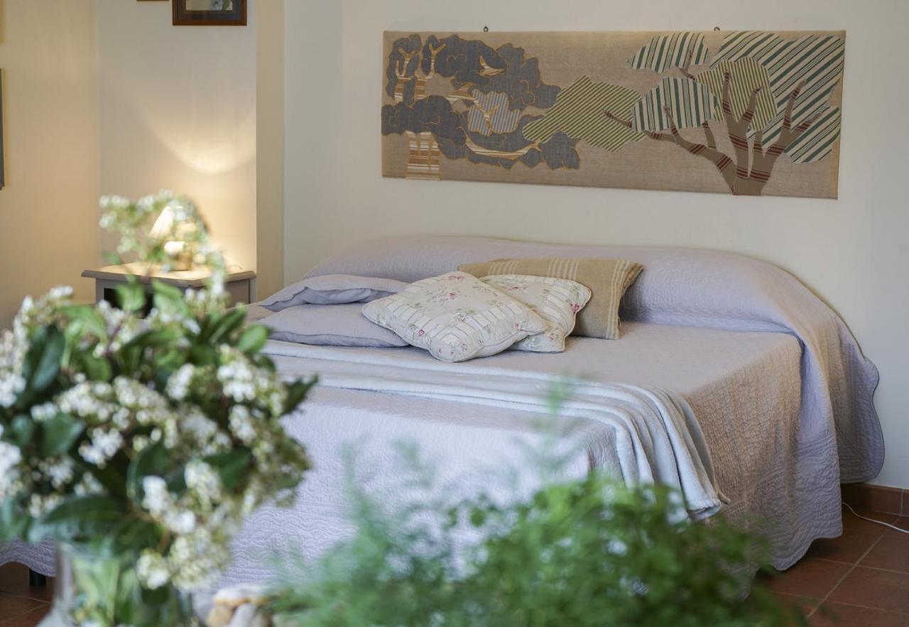 Locanda Degli Alberi ซัสเซ็ตตา ภายนอก รูปภาพ